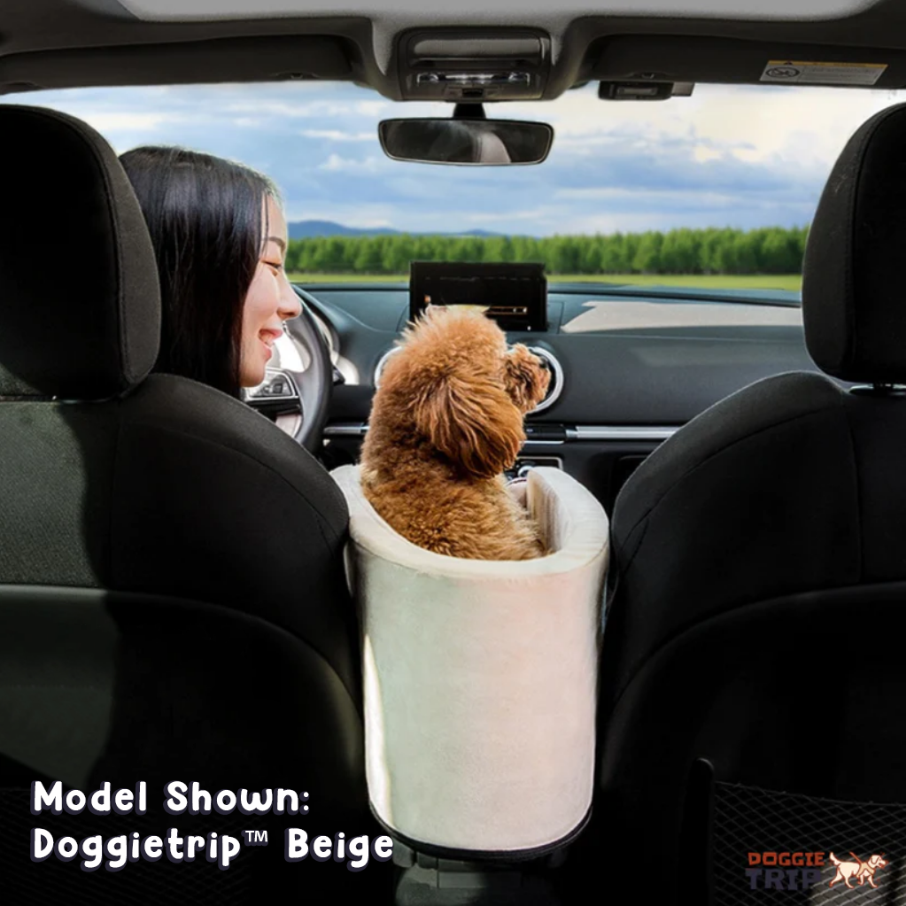 Safety Car Seat For Small Pets