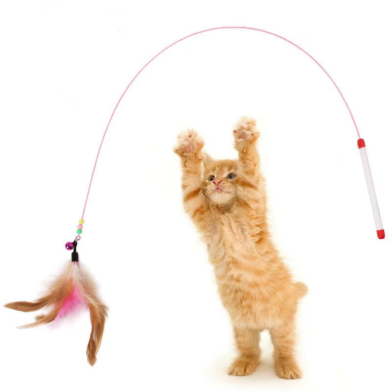 Feathers Tease Cat Toys